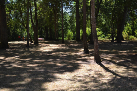 The suggested trail route has no visual markers from grass to trail connection The suggested trail route has no visual markers from grass to trail connection